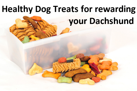 Health dog treats selection