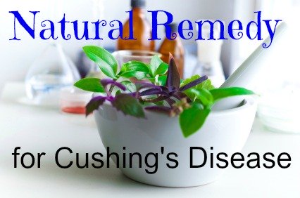 Learn more about this natural remedy